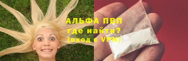 СК Аркадак
