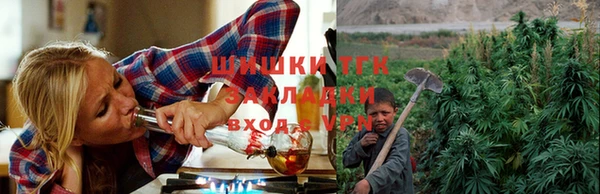 СК Аркадак