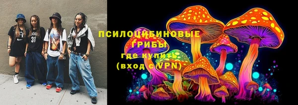 СК Аркадак